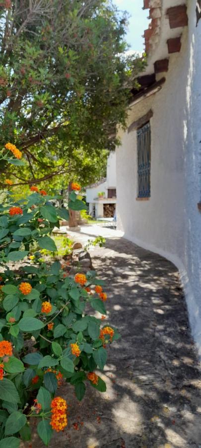 Viagramsci129 Vila San Teodoro  Exterior foto